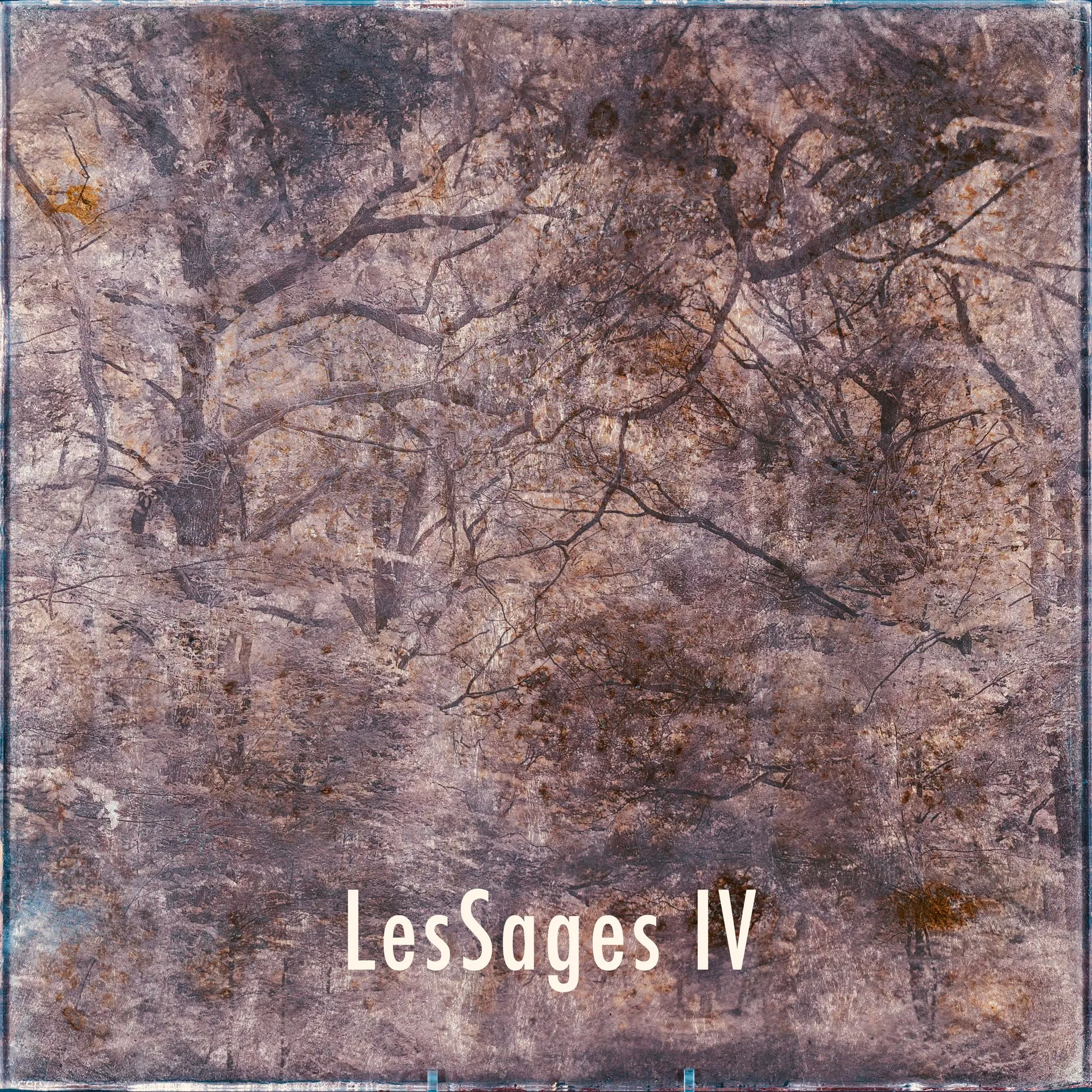 Les Sages IV — Oxydotype sur verre — Maison Picturale — Denis Félix — 40 × 40 cm